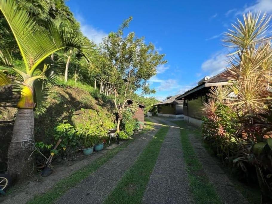 Tehuarupe Surf Studios Haapiti Kültér fotó