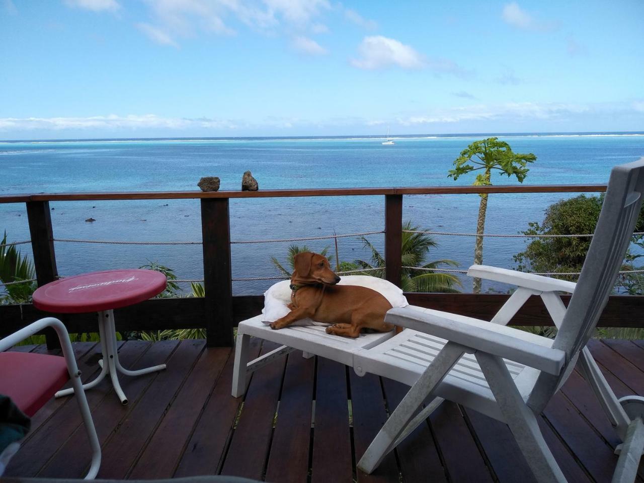 Tehuarupe Surf Studios Haapiti Kültér fotó